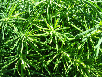 Similar image 2729060