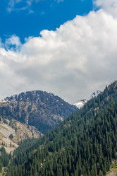 Similar image 2729061