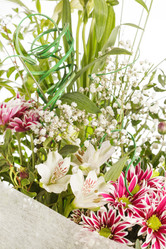 Similar image 2729080