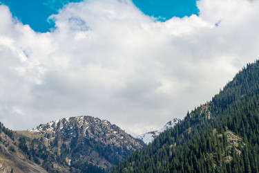 Similar image 2729081