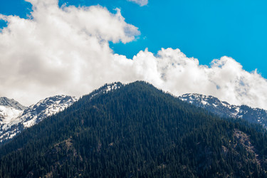 Similar image 2729082