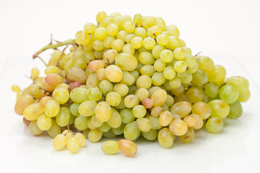 Similar image 2729093