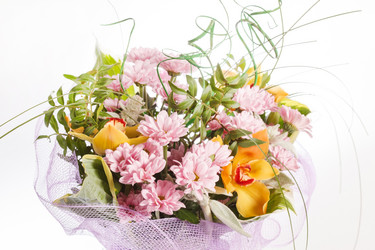 Similar image 2729094