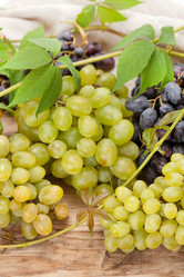 Similar image 2729095