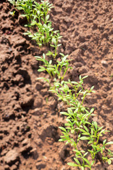 Similar image 2729102