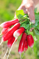 Similar image 2729103