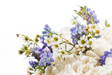 Similar image 2729106