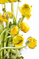 Similar image 2729107