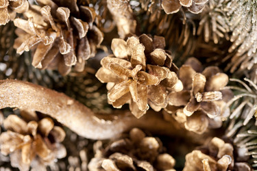 Similar image 2729118