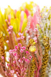 Similar image 2729119