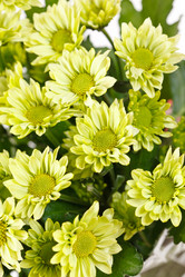 Similar image 2729123