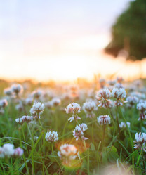 Similar image 2729130