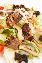 Similar image 2729136