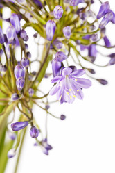 Similar image 2729140