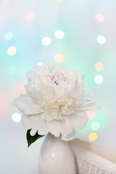 Similar image 2729142