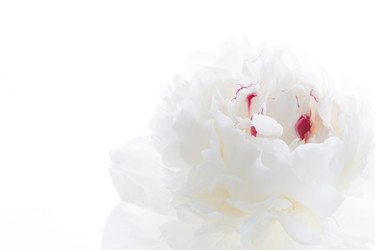 Similar image 2729143