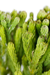 Similar image 2729161