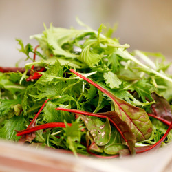 Similar image 2729174