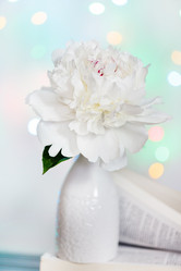 Similar image 2729194