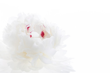 Similar image 2729197