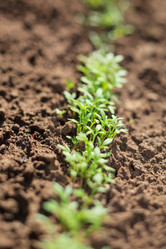 Similar image 2729211