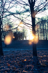 Similar image 2729219