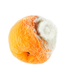 Similar image 2729223