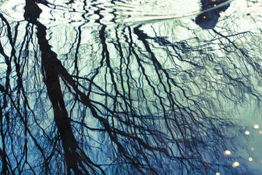 Similar image 2729236