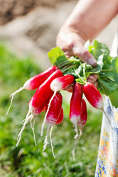 Similar image 2729252