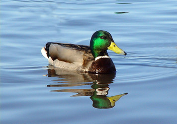 Similar image 2729294