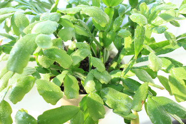 Similar image 2729298