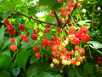 Similar image 2729301