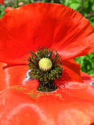 Similar image 2729303