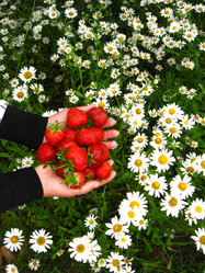 Similar image 2729304