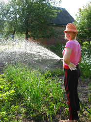 Similar image 2729306