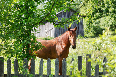 Similar image 2729469