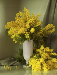 Similar image 2729493