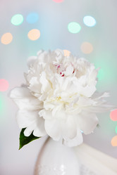 Similar image 2729508