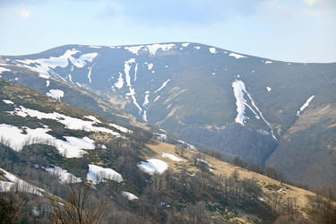 Similar image 2729510