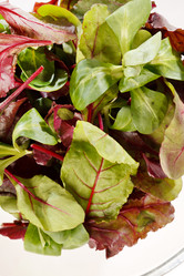 Similar image 2729518