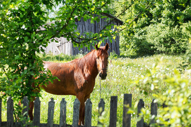 Similar image 2729519