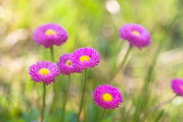 Similar image 2729520