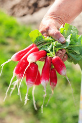 Similar image 2729524