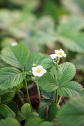 Similar image 2729531