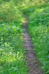 Similar image 2729532