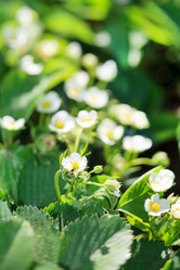 Similar image 2729533