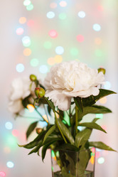 Similar image 2729534