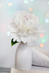 Similar image 2729535