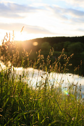 Similar image 2729548