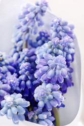 Similar image 2729554